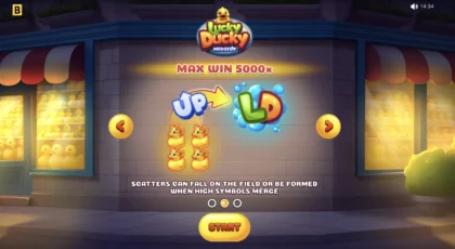 Lucky Ducky - 14